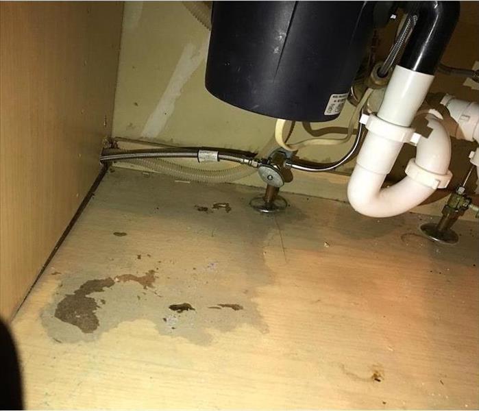 leaking garbage disposal causing water damage in cabinet.