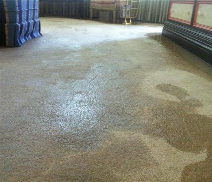 Water Soaked Carpet